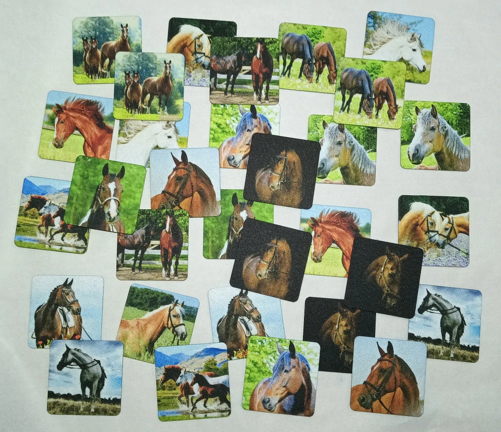 Moon River Pexeso koně 32 ks