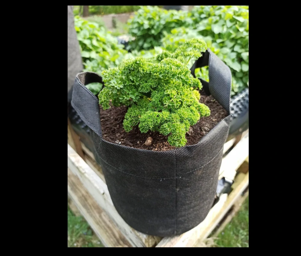 Moon River textilní květináč černý objem 5 l - 20 x 20 cm