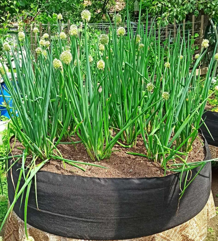 Moon River textilní květináč záhon černý rozměr 30 x 120 cm  obsah 330 l  