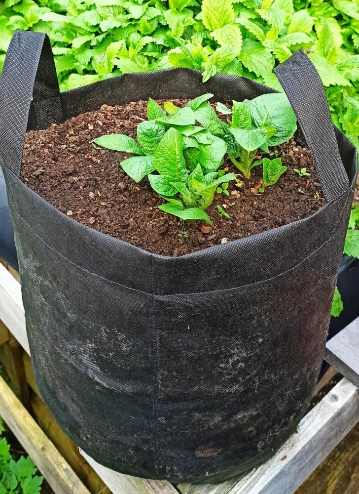 Moon River textilní květináč černý objem 12 l / výška 25 cm / průměr 25 cm