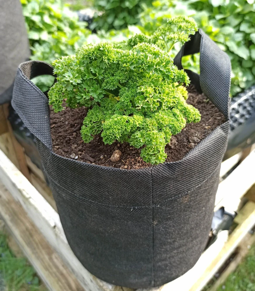 Moon River textilní květináč černý objem 17 l / výška 25 cm / průměr 30 cm