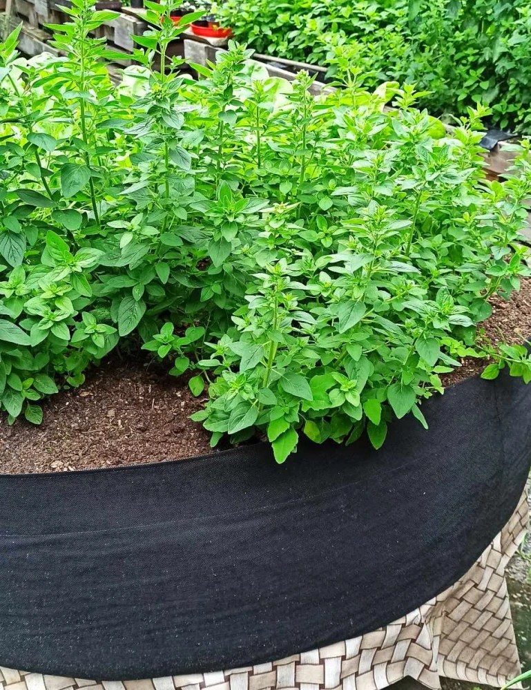 Moon River textilní květináč záhon černý rozměr 30 x 120 cm  obsah 330 l  