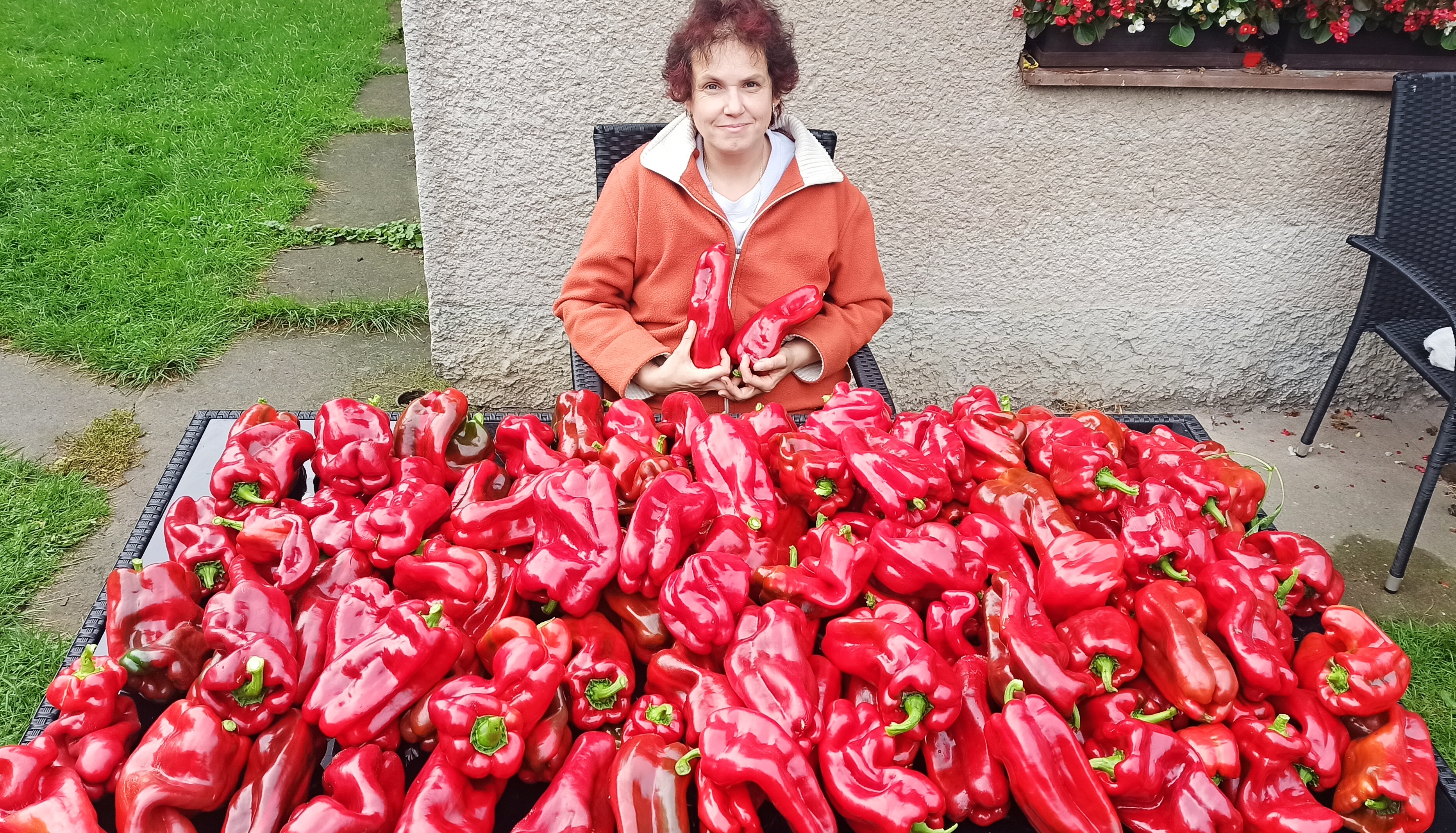 Organické hnojivo hmyzí trus 1 litr 