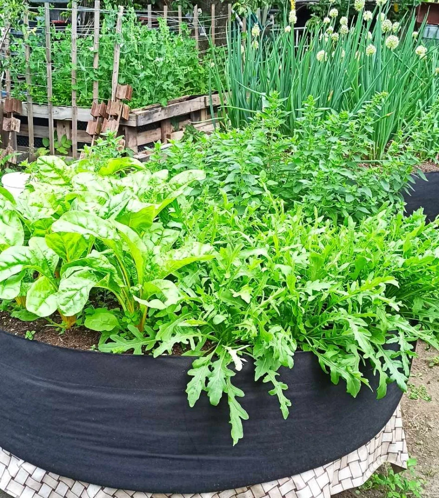 Moon River textilní květináč černý objem 12 l / výška 25 cm / průměr 25 cm