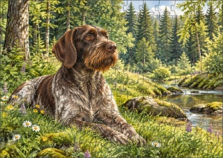 Moon River Český fousek Puzzle 120 dílků