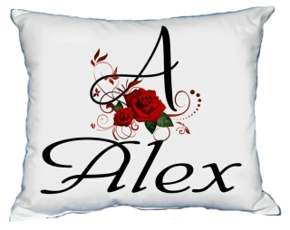 Moon River ALEX polštář s dámským jménem 30x40 cm