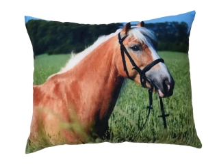 Moon River Polštářek  s hlavou koně  , kůň v obilí  33x43 cm