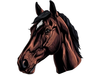 Moon River samolepka  hlava koně , kůň II. 5x5 cm