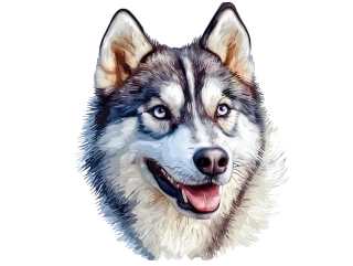 Moon River Sibiřský husky samolepka se psem   5x4