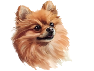 Moon River Německý špic samolepka se psem   5x4