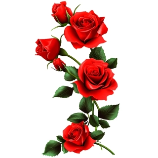 Moon River růže samolepka 7x4 cm