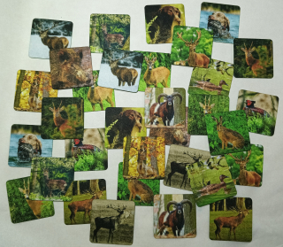 Moon River Pexeso myslivecké  32 ks