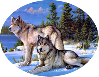 Nažehlovačka s vlkem III