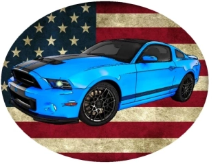 Nažehlovačka Ford Mustang Shelby GT500 II