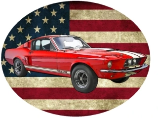 Nažehlovačka Ford Shelby Mustang GT350