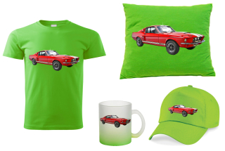 Ford Mustang Shelby GT350 dárkový set 110